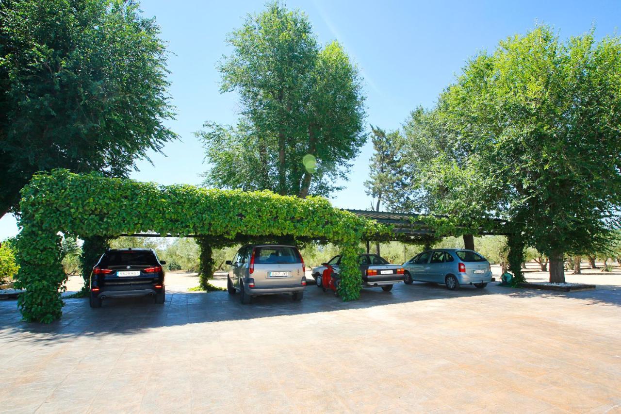 Senia Tomaset III Vila Onil Exterior foto
